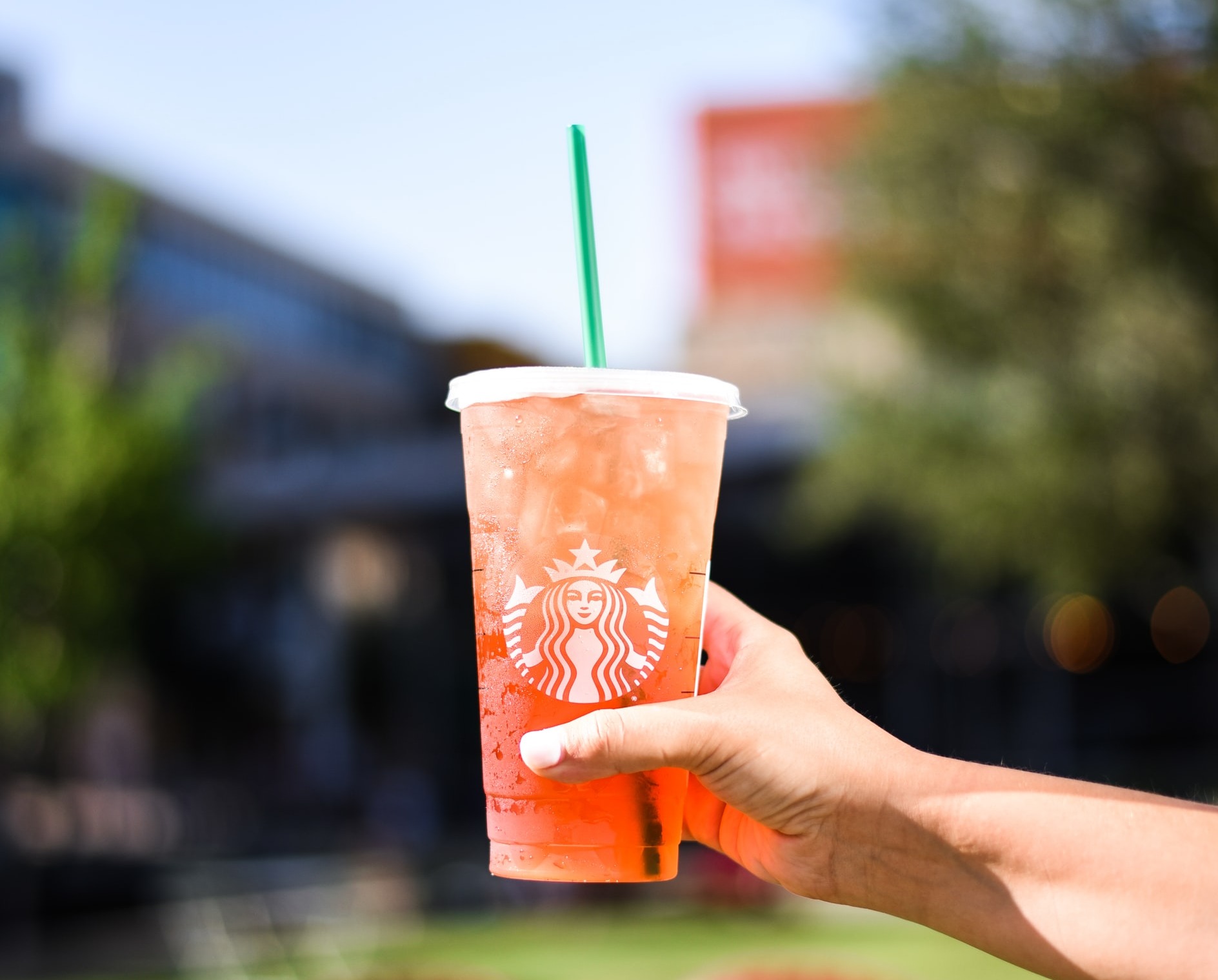 20 bebidas de verano de Starbucks para un placer refrescante