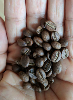 Nuestra reseña de AMUCC Colombia por Groundwork Coffee.