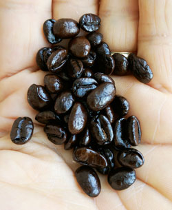 Nuestra revisión de un café con guisantes de Malawi de Pinebrook Coffee Roasters.