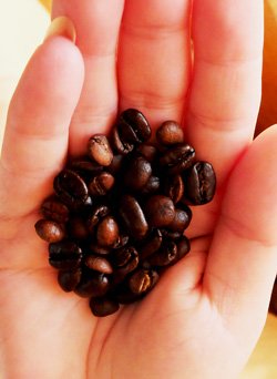 La mezcla de café True Mokha Java de Bean Box