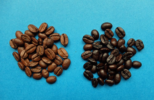 Elija entre granos de café tostado oscuro o tostado medio
