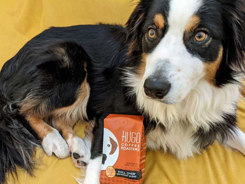 Hugo Breakfast Blend Coffee para apoyar el rescate de perros