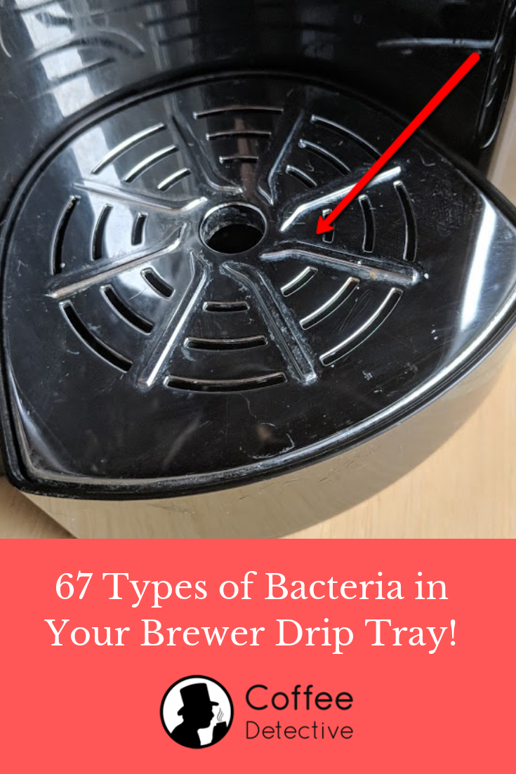 Los 67 tipos de bacterias que crecen en la bandeja de goteo de su cafetera.