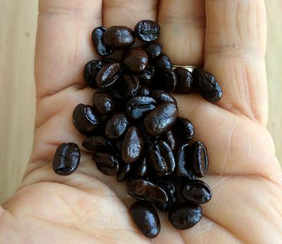 Mis granos de café se ven grasosos. ¿Eso esta bien?