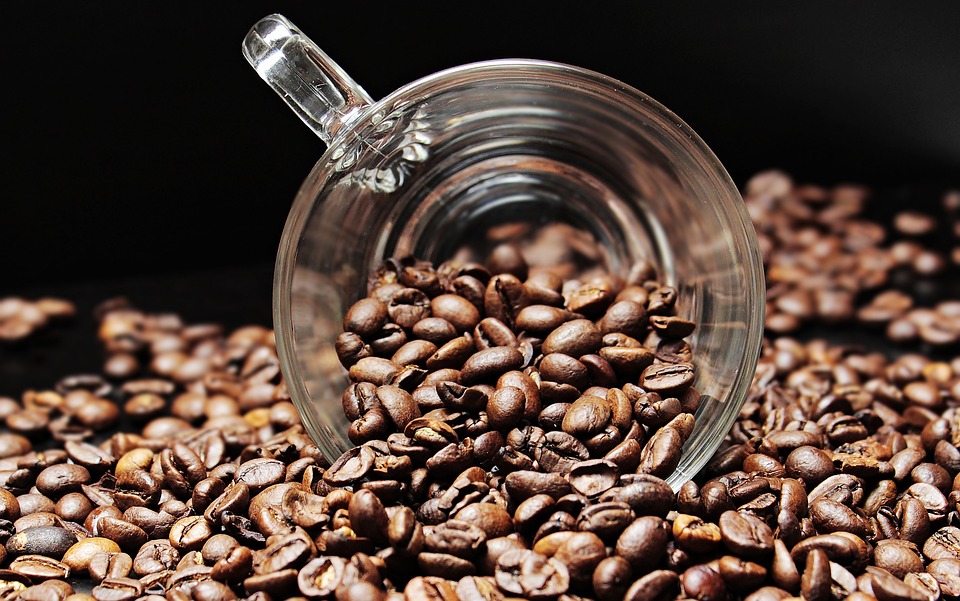 ¿El café afecta el crecimiento de las plantas?