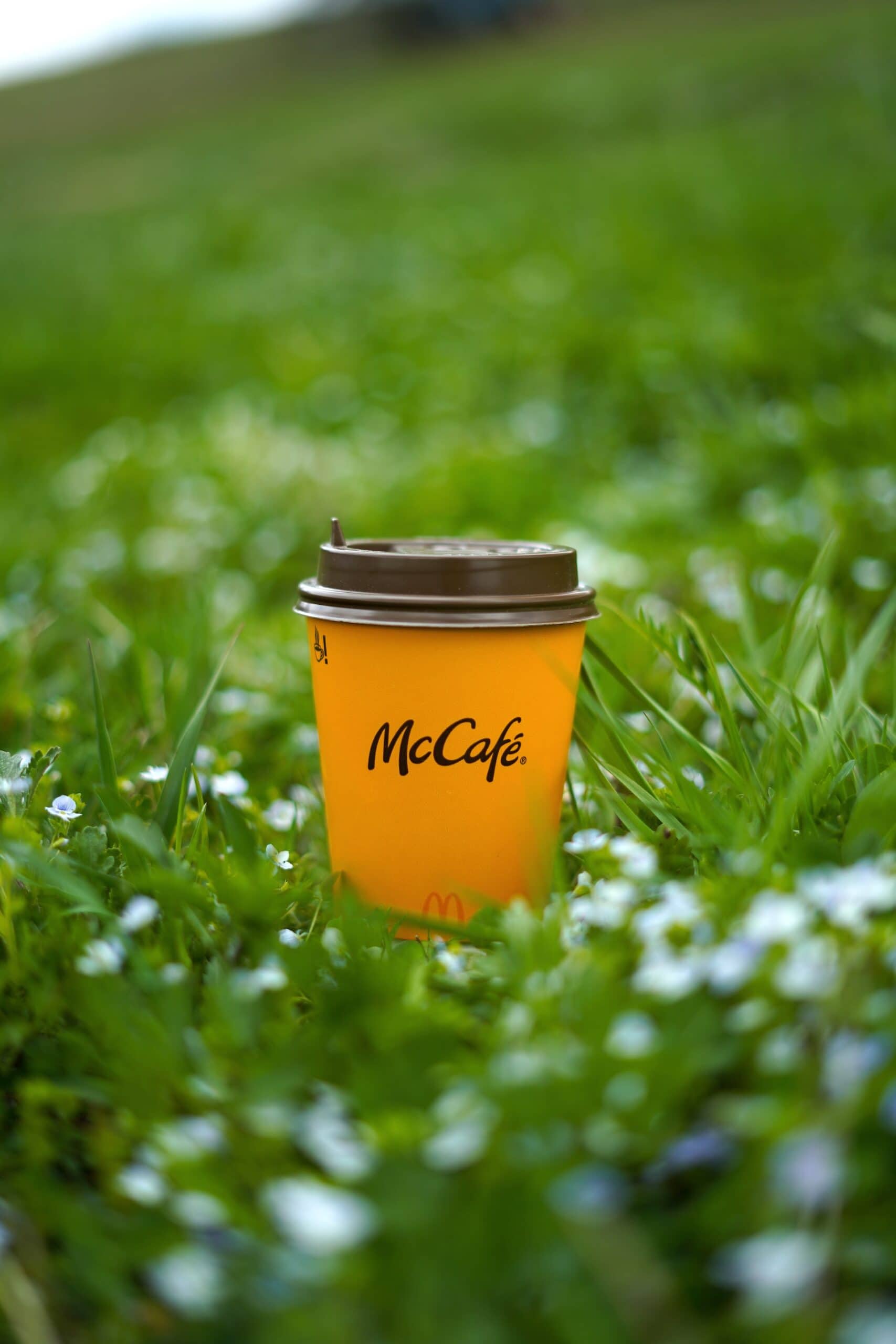 Bebidas de café de McDonald's: McCafe's Java Gems
